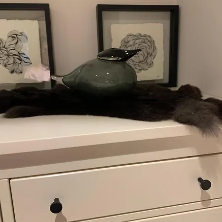 アパート Colette オステンド