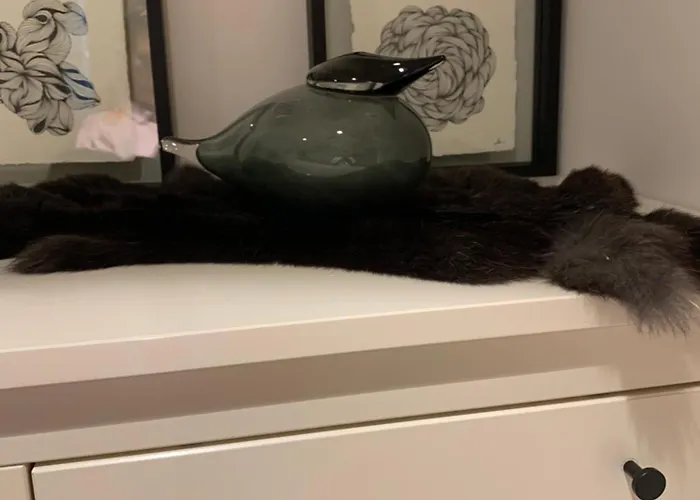 Apartment Colette Ostend